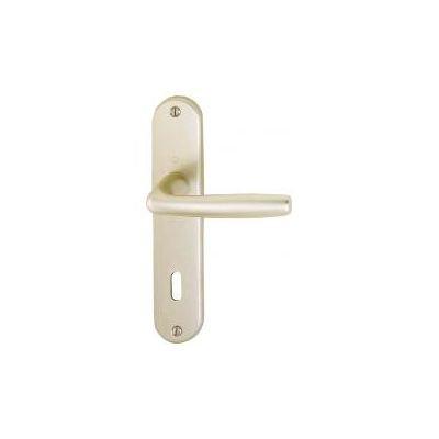 Ensemble de porte alu champagne 190 mm sur carte